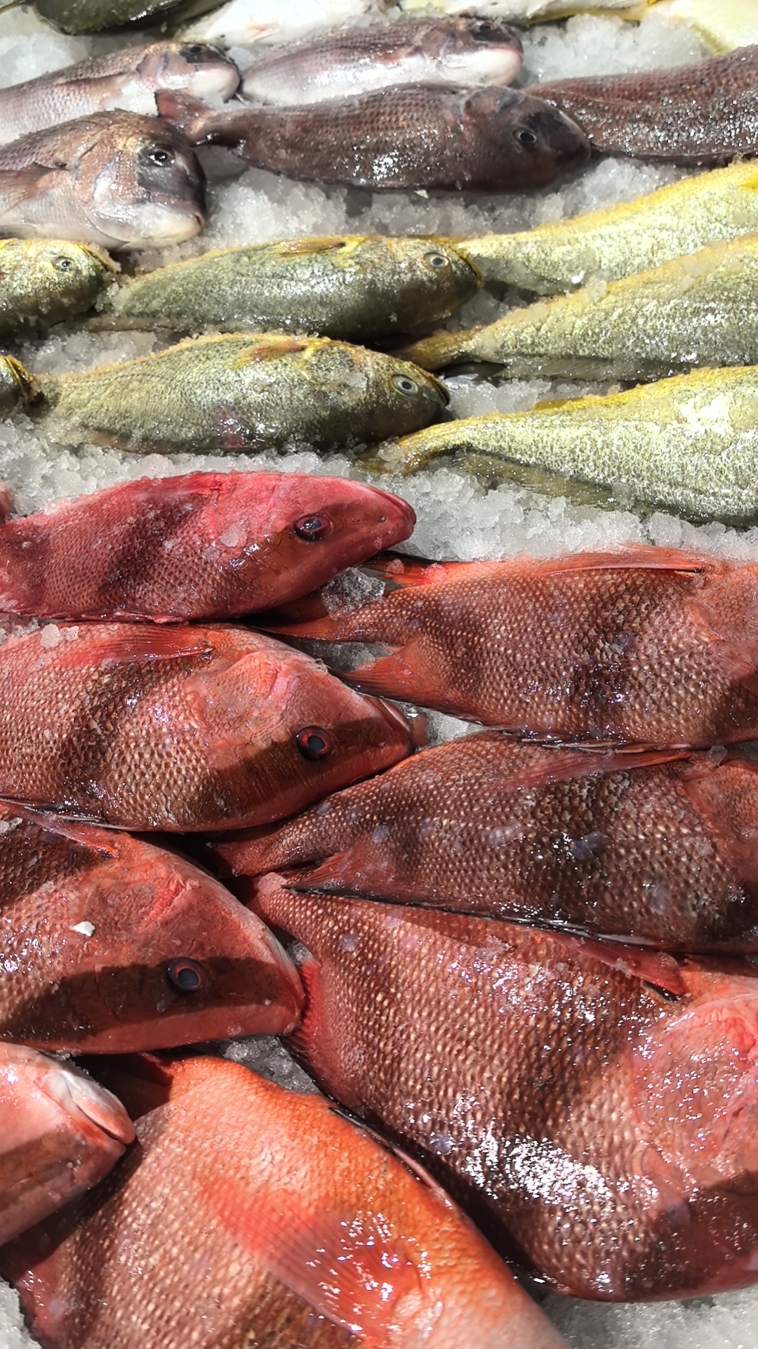 新鲜海鱼直播间现场称冷冻发货不退