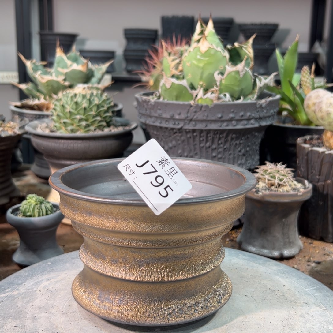 景德镇手工素里内口14高10