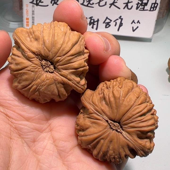 文玩核桃把件39白狮子001