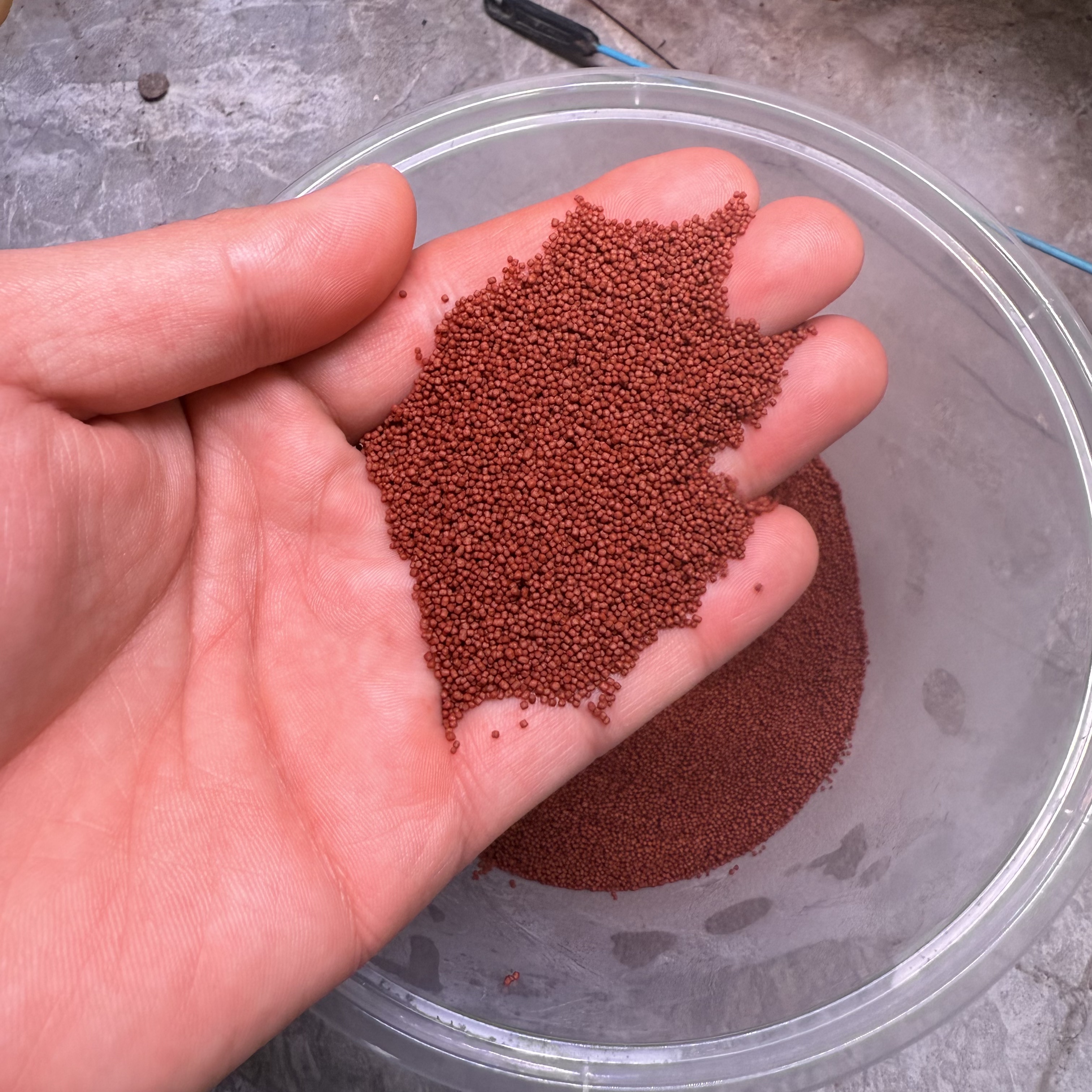 小南美增色上浮饲料百分之五虾红素配比增色效果好