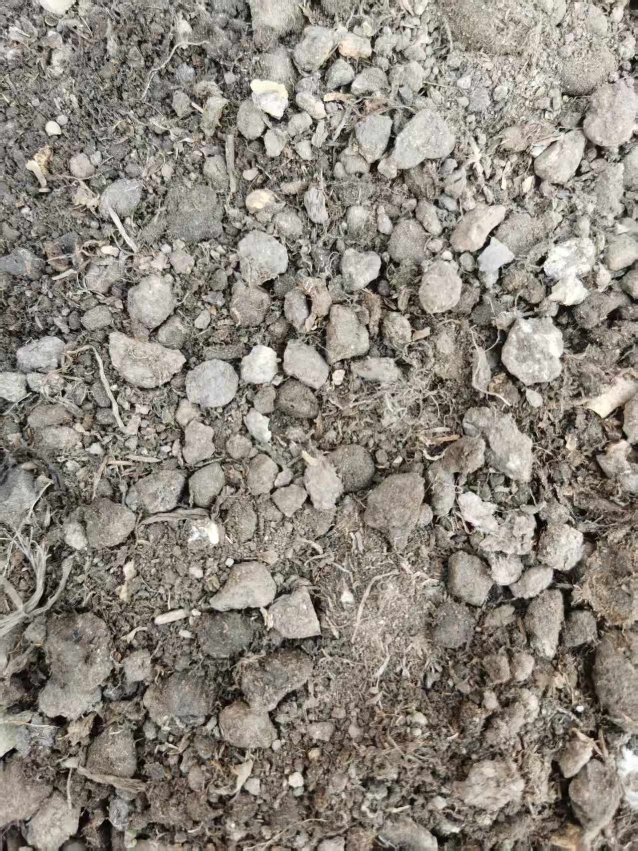 君子兰专用高配植料疏松颗粒土生根土适合君子兰蝴蝶兰石斛兰花