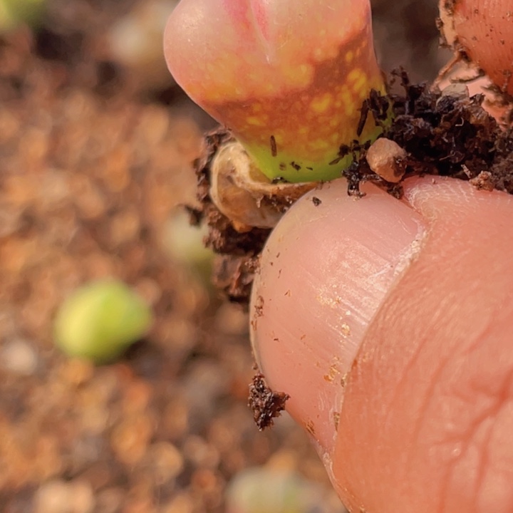 ，啦啦啦啦啦啦啦啦啦啦啦