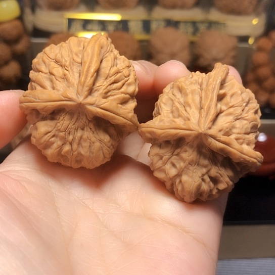 福利款：野生三棱