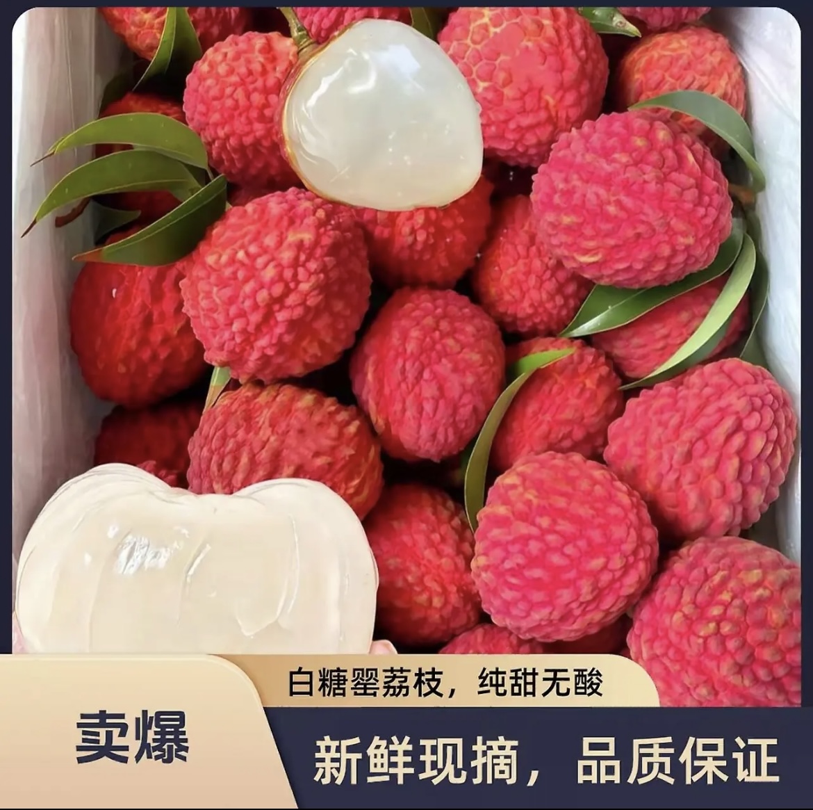 【京东/顺丰冷链随机发】正宗茂名高州白糖罂荔枝鲜甜可口现摘先发