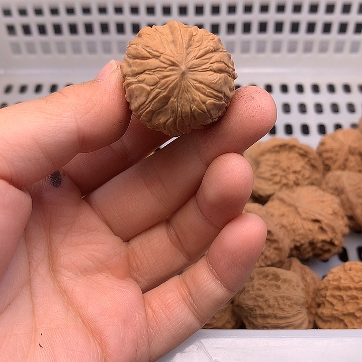 问***林文玩核桃吊坠文玩核桃