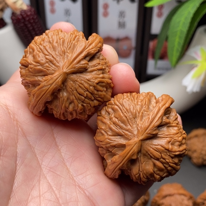 文玩核桃把件白狮子45.5