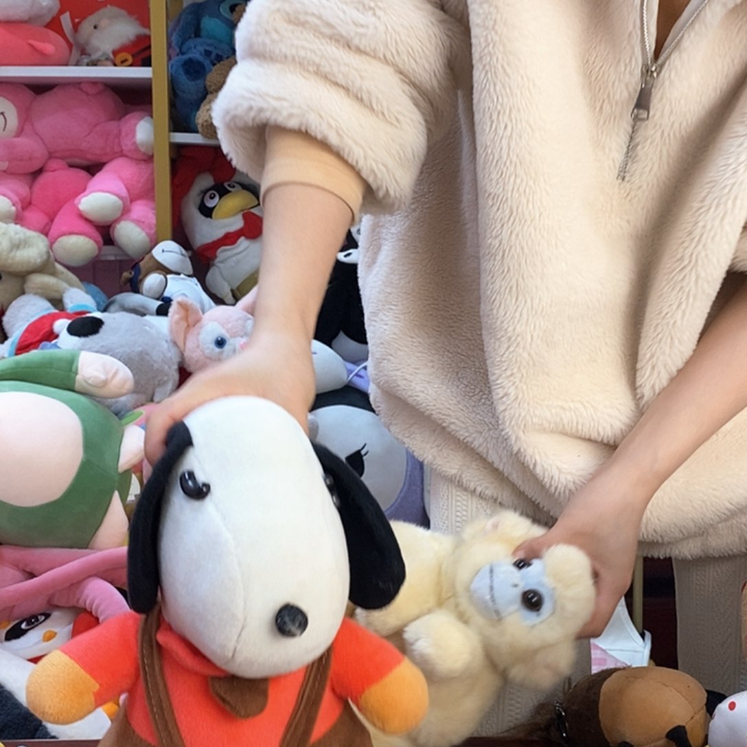 毛绒后****?毛绒玩具808