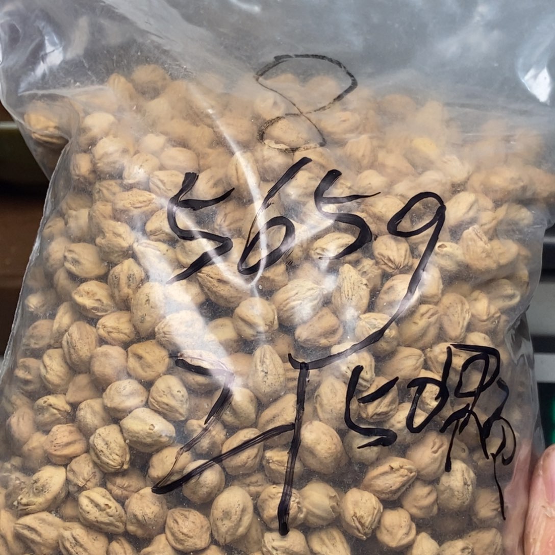 柏香籽/百香籽吊坠