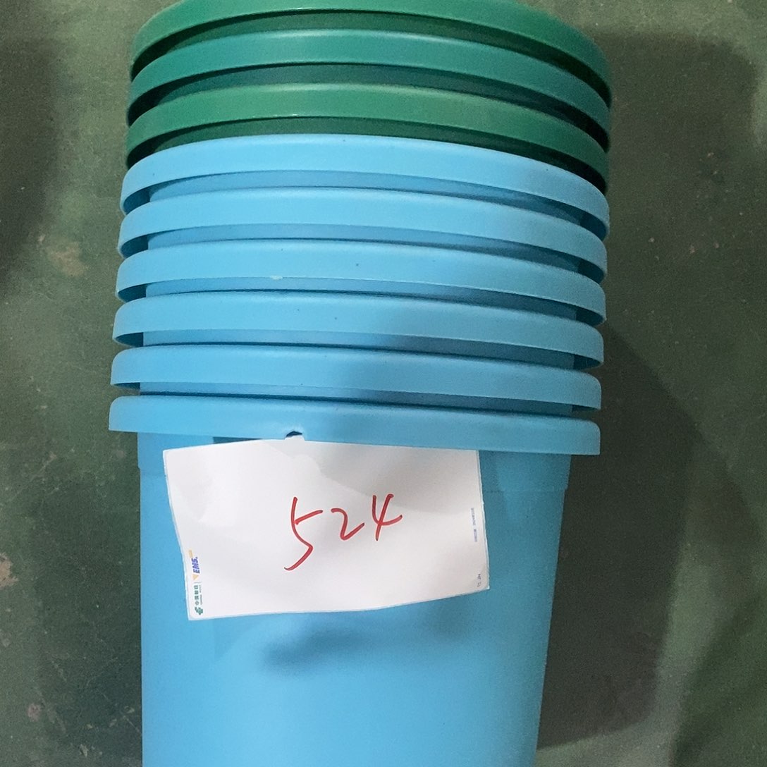 编号524缺口无拖