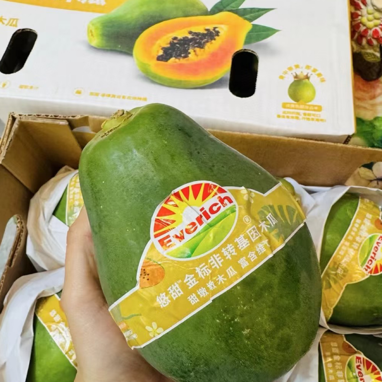DL木瓜水果嘎嘎好吃海南省