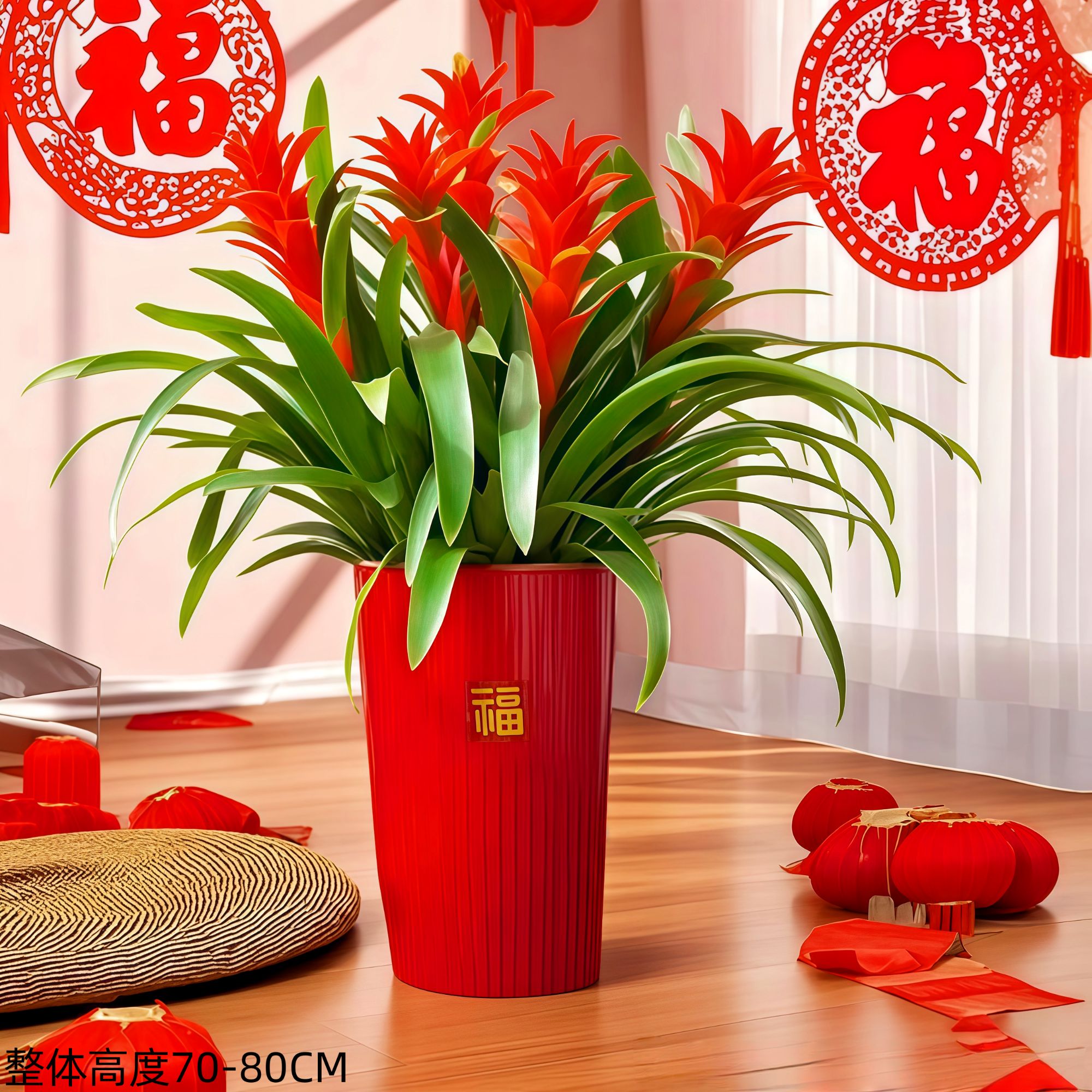 【鸿运当头五颗落地款】室内客厅落地大型绿植盆栽净化空气美化家居