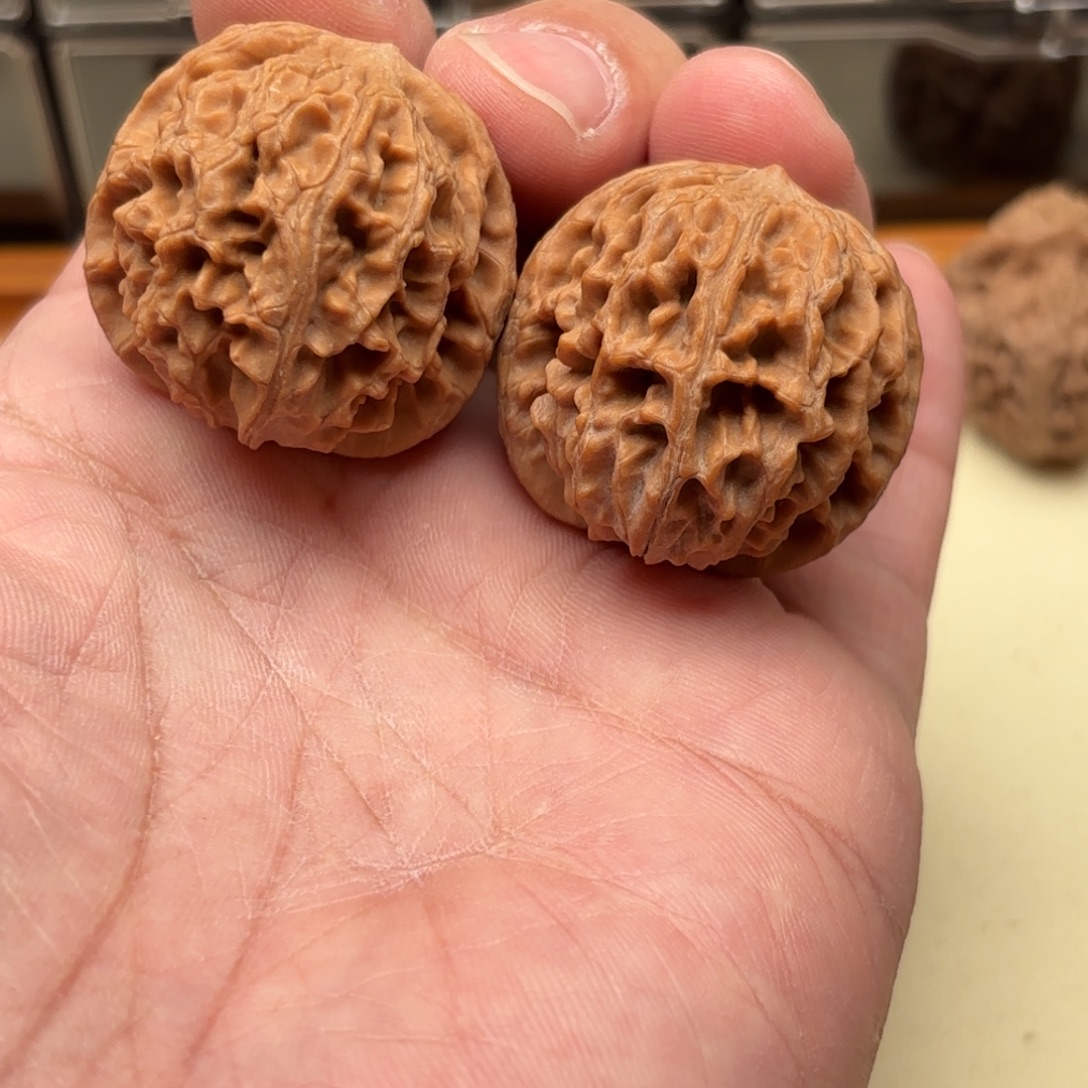 文玩核桃把件龙胆元宝