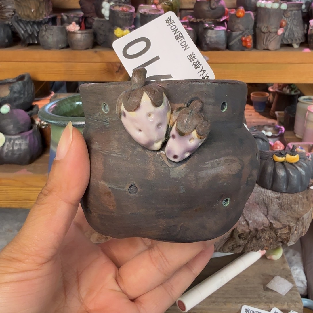 重庆小燕子欢迎大家陶瓷910