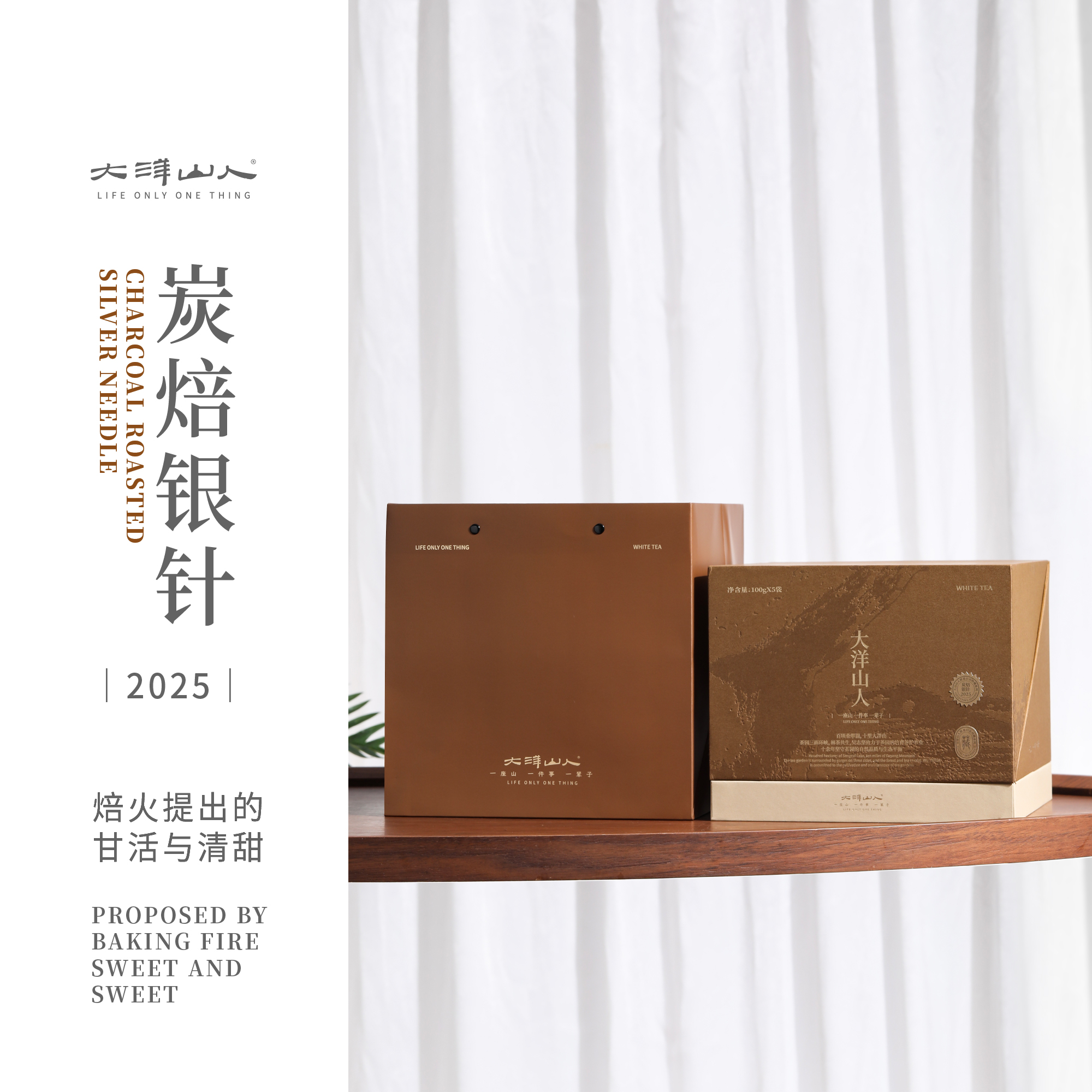 大洋山人｜磻溪大洋山2025炭焙银针一级明前春茶500g白茶收藏装