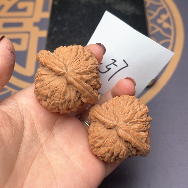 文玩核桃把件43白狮子