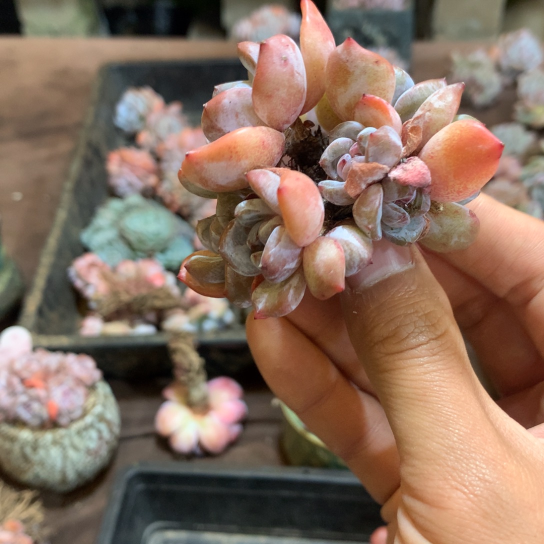 哈哈哈哈哈哈哈哈哈哈