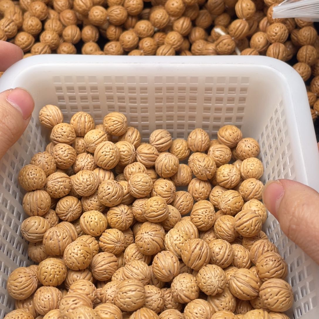 【闪购商品】独**往散子批发80