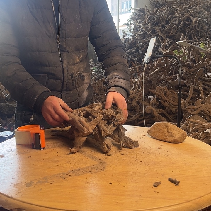 A***i木鱼缸造景根雕艺术2