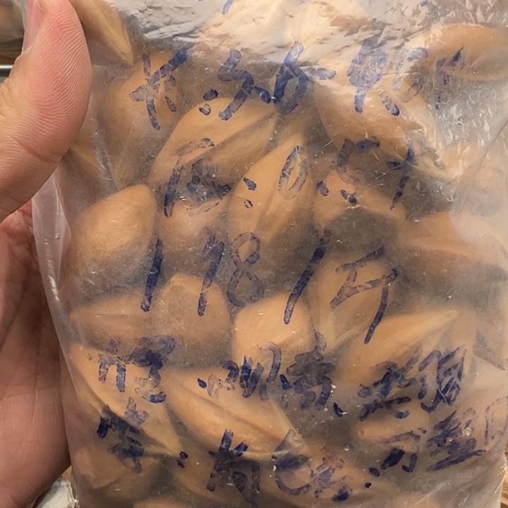 核桃其他1.9-2.0+三角核一斤有色差关羽观音大圣