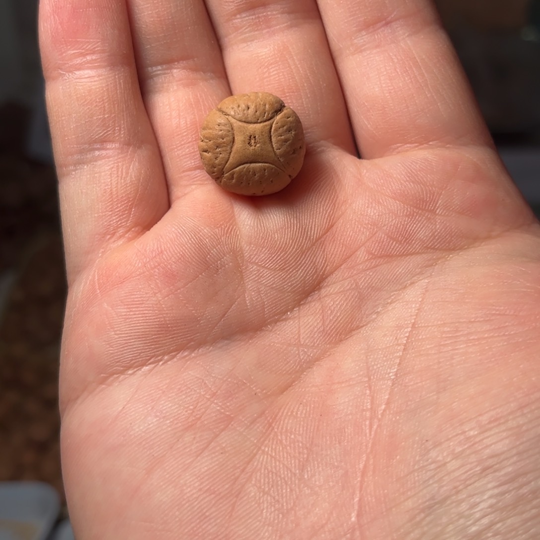 桃核吊坠18mm麒麟眼，开孔不退，偏远不包