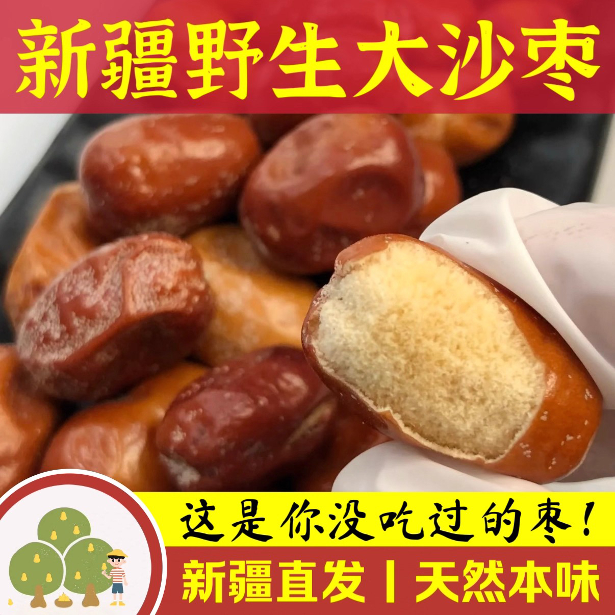 【新货特惠】新疆特产大沙枣新鲜新疆沙枣正宗零食全国包邮