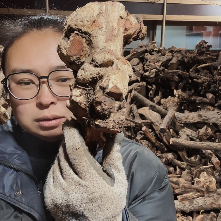 香榧木老*哥火琉璃的毛料摆件