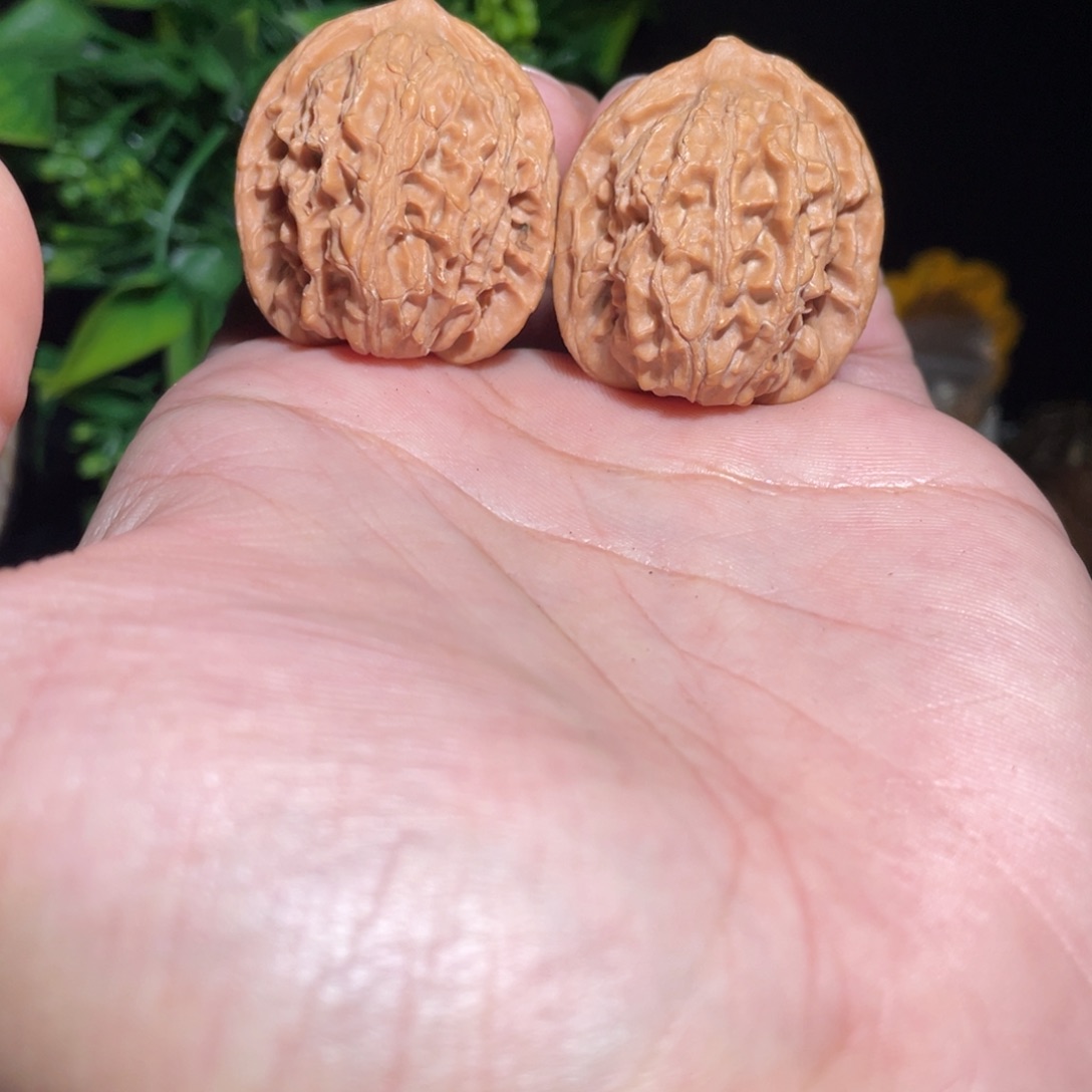 吊坠文玩核桃32野生