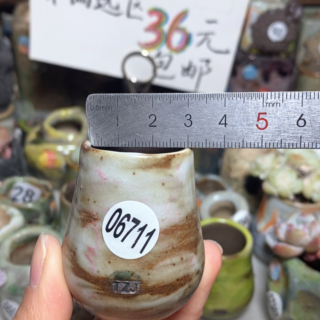 花盆拍5送一个小礼物