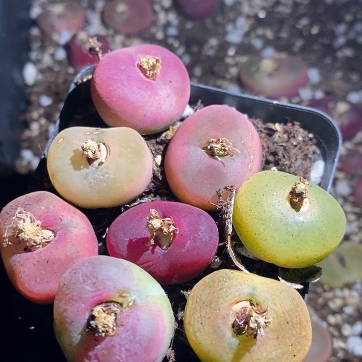 ?**?27296一组一组一组