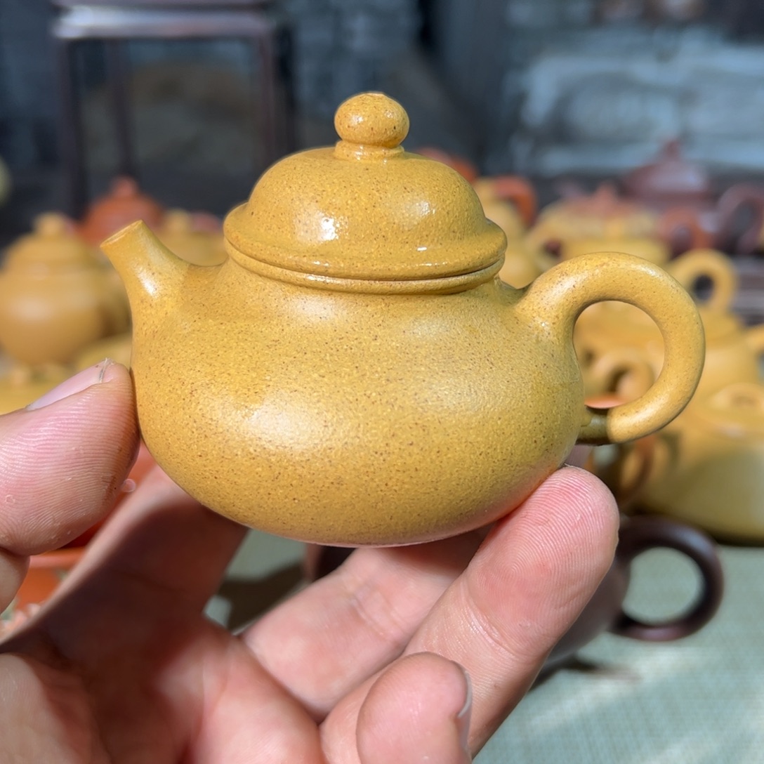 温***海茶壶紫砂全手制作