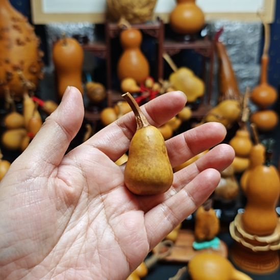 *****直播间链接葫芦葫芦