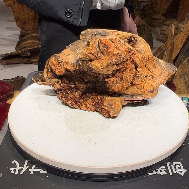 松木（琥珀木）青*
