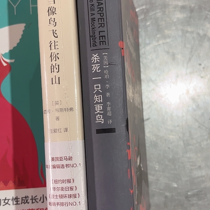 当鸟，知更鸟新书推荐全新