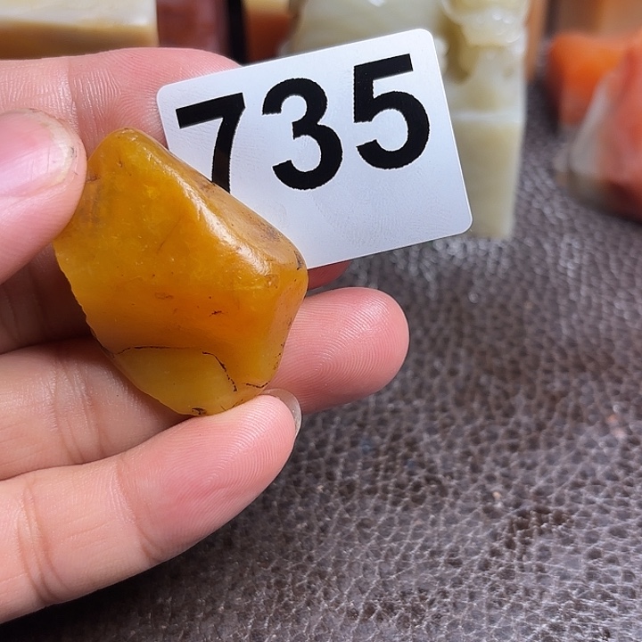 海***豚老挝石精美的老挝