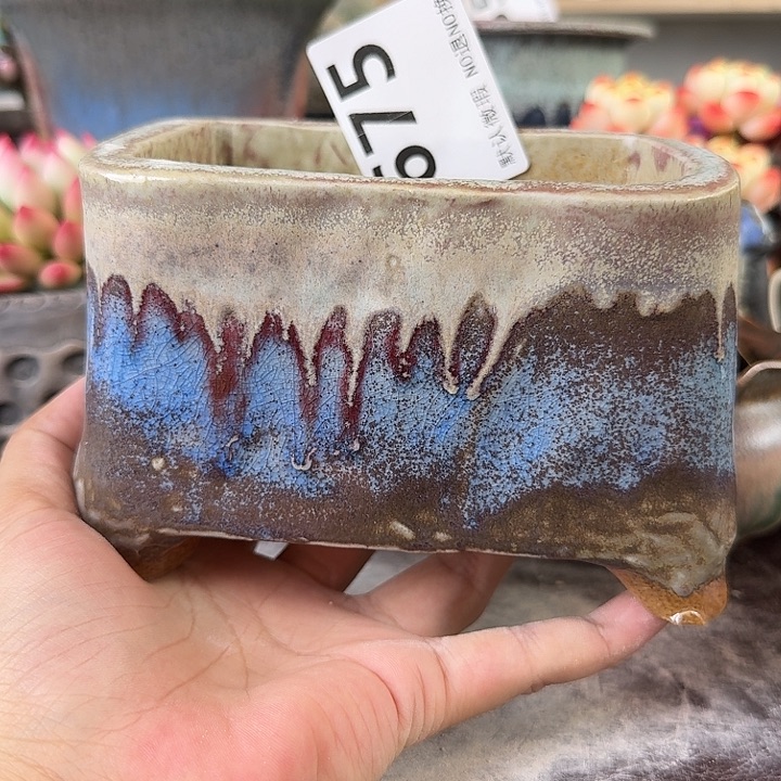 重庆小燕子欢迎大家675