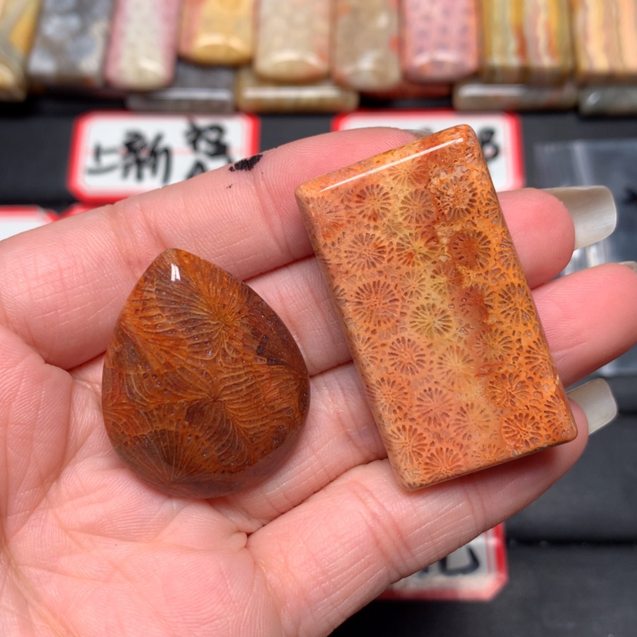 【闪购商品】未镶嵌颈饰硅化玉蒙****艺