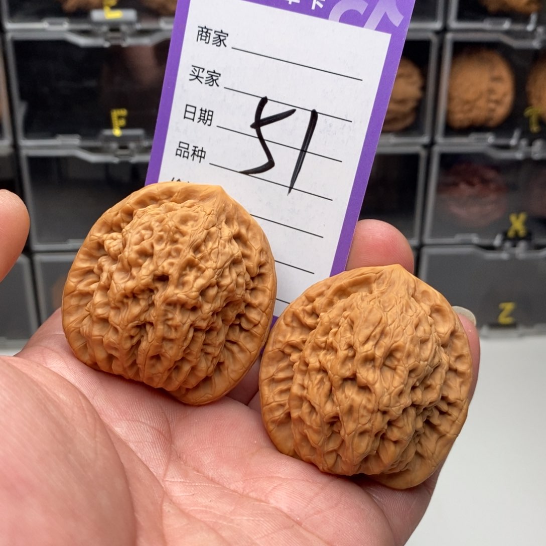 45金公子一对，尖微修