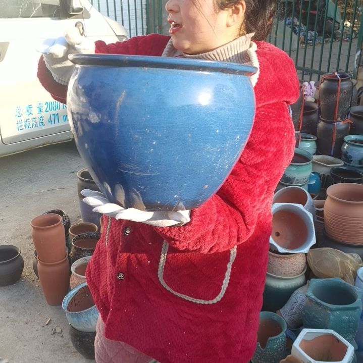 红陶口31高24瑕疵