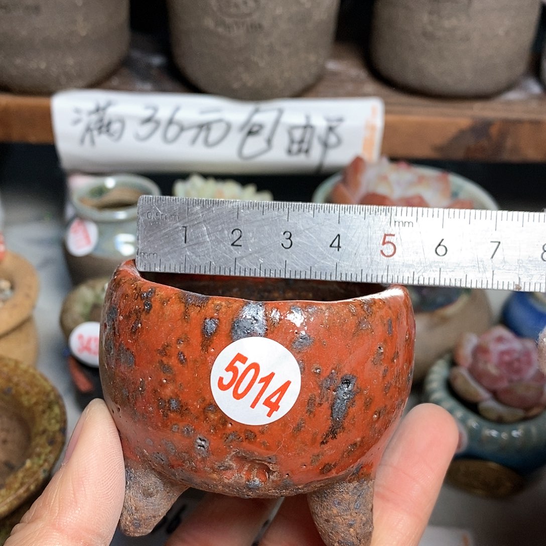 红陶拍5送一个小