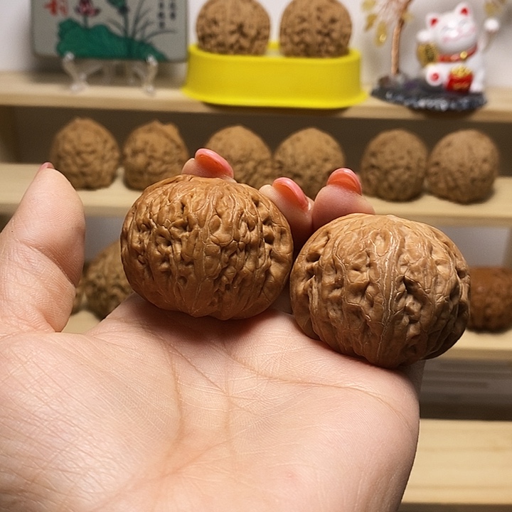 独***猫44尺寸的铁锤妹妹