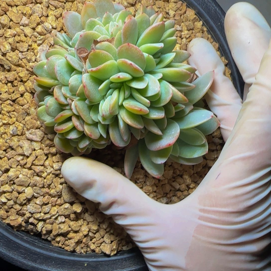 k k k k k k k k 7