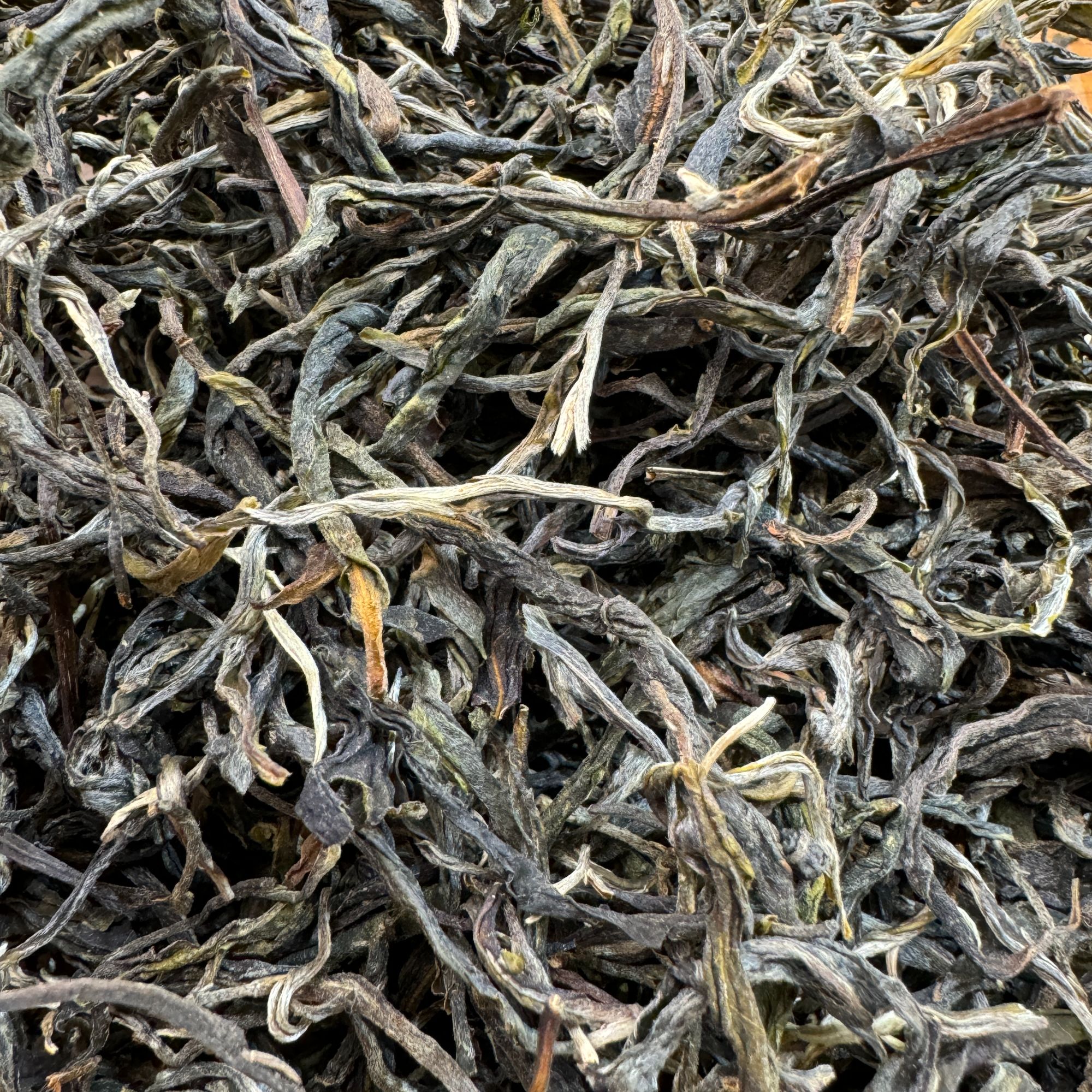 昔归忙麓山紫茶  2025年·春  普洱茶生茶散茶