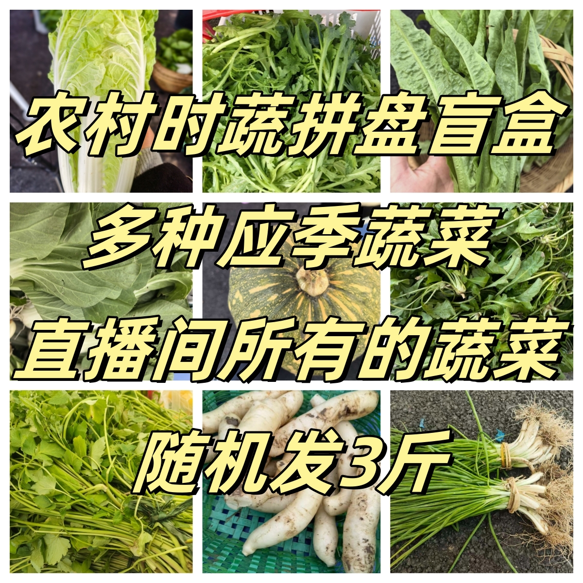 【助农】农家时蔬拼盘盲盒/随机发三斤