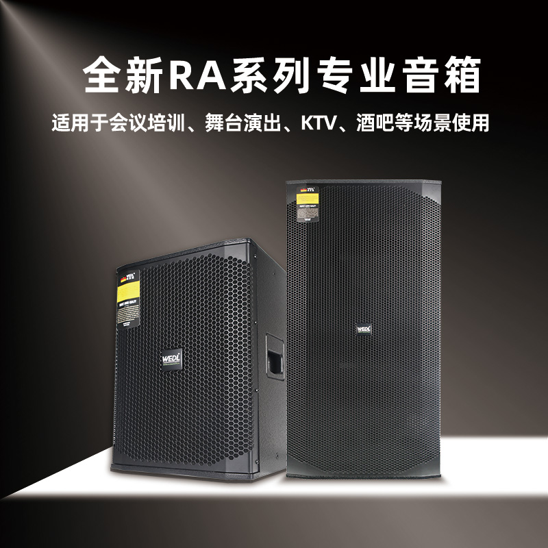 德国威狄龙WEDL专业户外K歌RA套装舞台家用高端K音箱酒吧唱歌