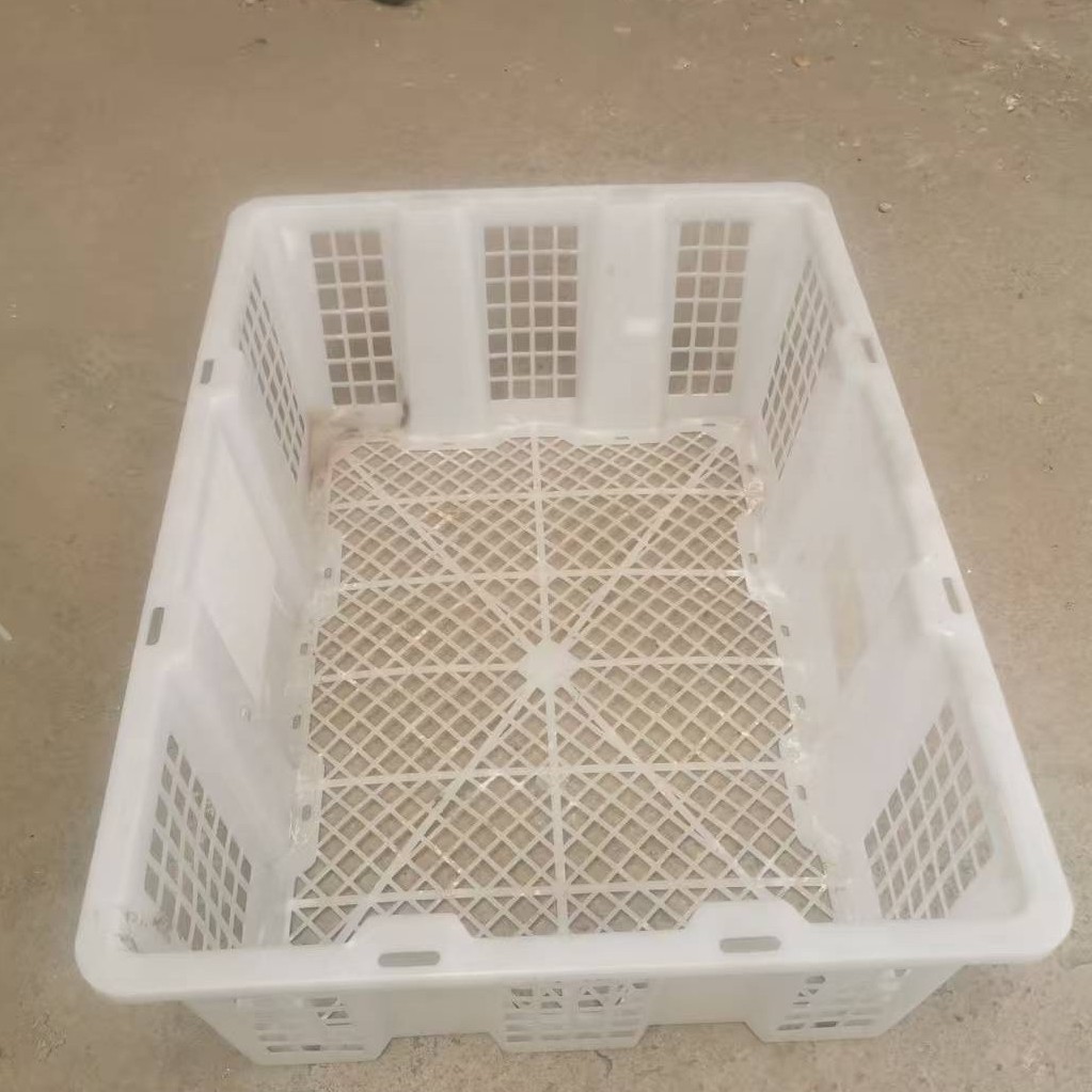 鸽子用品运输筐子