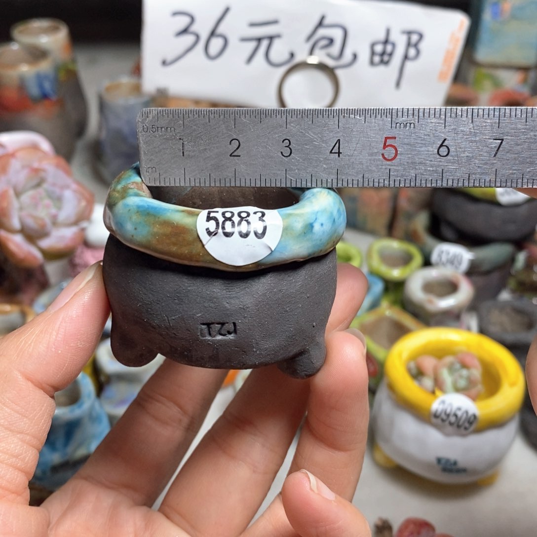 拍3送一个小礼物