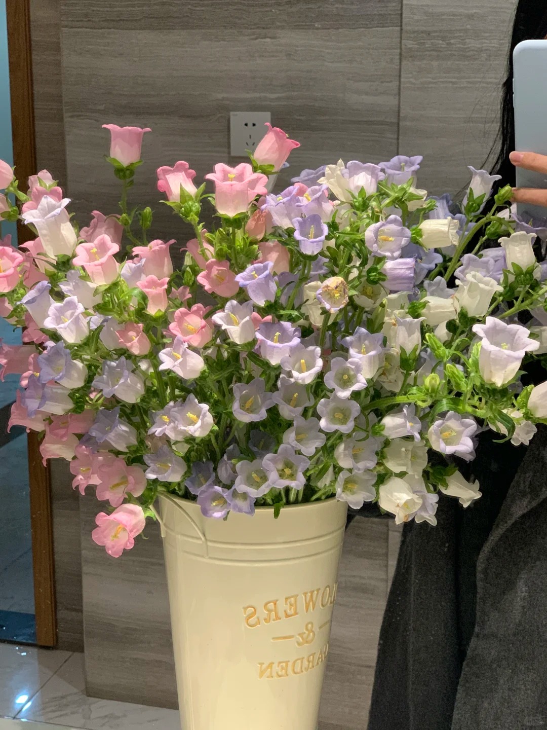 【花王朝】风铃-鲜切花 云南直发鲜花家居水养插花鲜切花 
