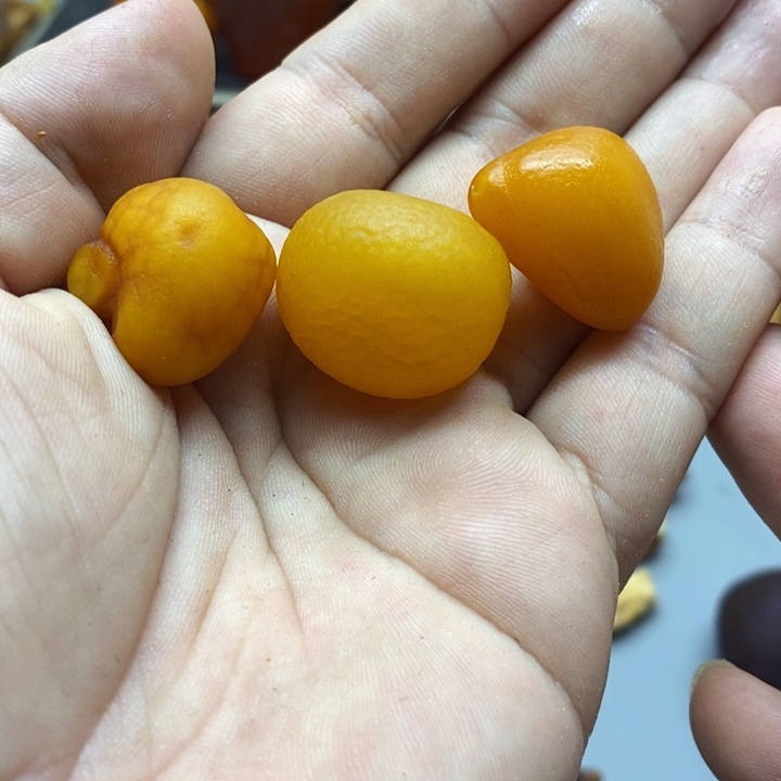 定制琥珀未镶嵌?*?蜜蜡原石定制
