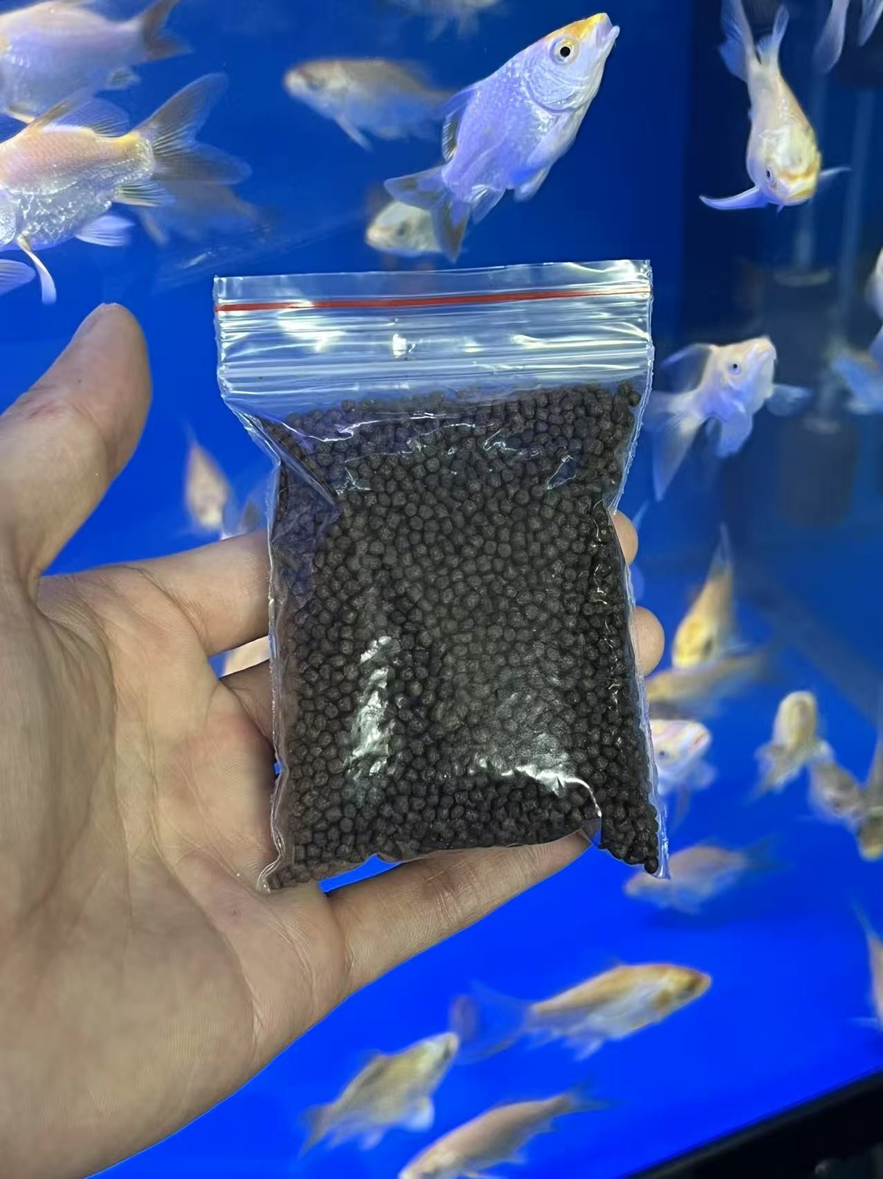 20克台湾蝴蝶鲤上浮型高蛋白专用饲料适用增体催尾