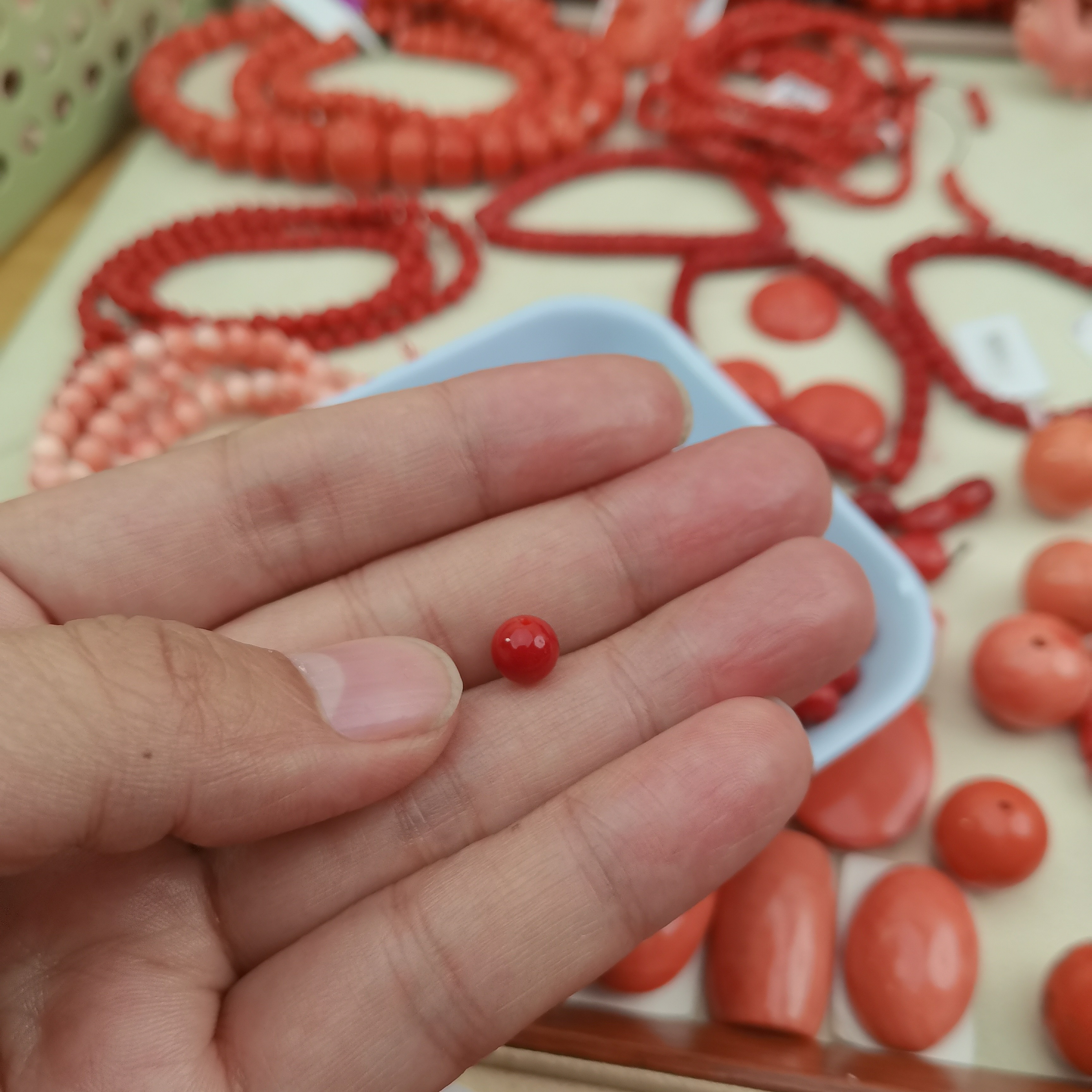 天然珊瑚天然沙丁300